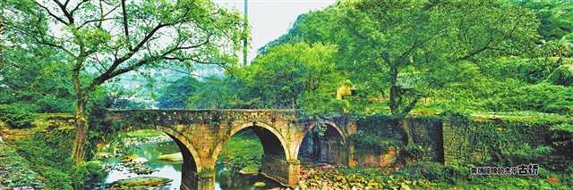 e856bd62-3d61-4e78-be03-77fa3e512676 e856bd62-3d61-4e78-be03-77fa3e512676