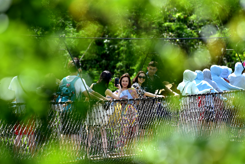 微信圖片_20200807165736 微信圖片_20200807165736