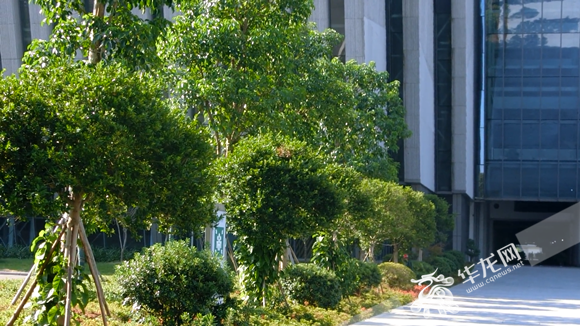 3abd31eb-26d2-4dd5-98fa-91c28d569ace 3abd31eb-26d2-4dd5-98fa-91c28d569ace