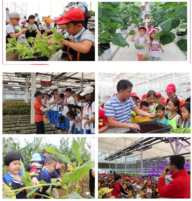 微信截圖_20200922182034