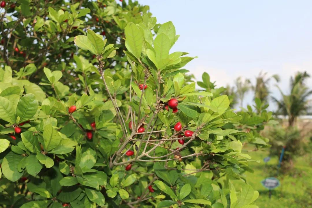 微信圖片_20200922182112