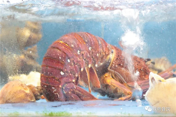 微信圖片_20200923170452