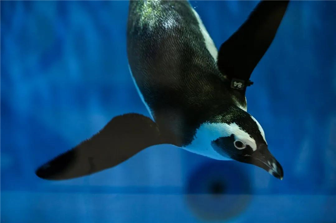 微信圖片_20200930184041 微信圖片_20200930184041