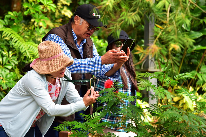 微信圖片_20201212100528 微信圖片_20201212100528