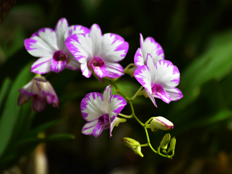 微信圖片_20201212100646 微信圖片_20201212100646