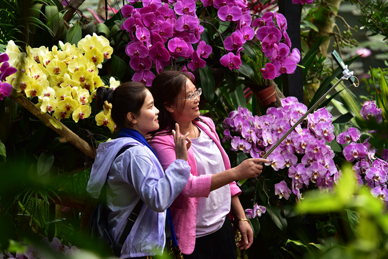 微信圖片_20210102114723 微信圖片_20210102114723