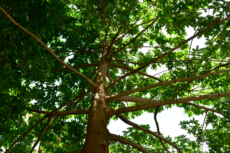 微信圖片_20210412150041 微信圖片_20210412150041