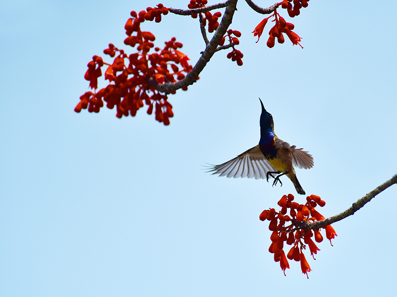 微信圖片_20210427112529 微信圖片_20210427112529