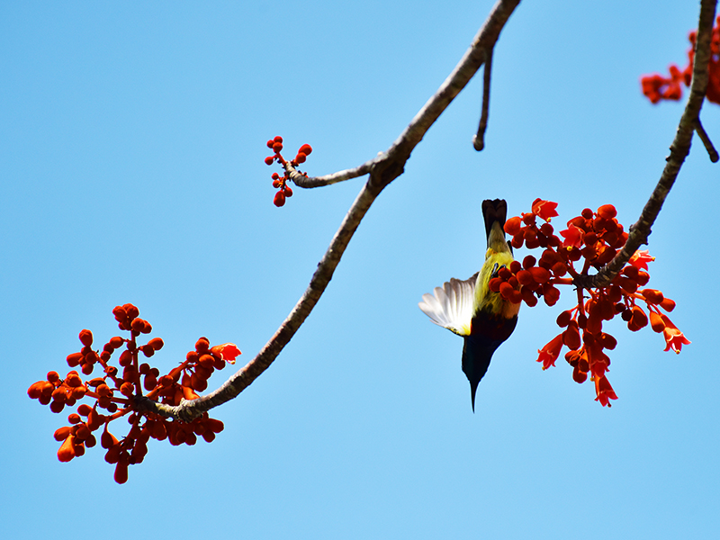 微信圖片_20210427112553 微信圖片_20210427112553