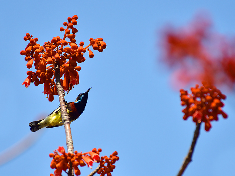 微信圖片_20210427112546 微信圖片_20210427112546