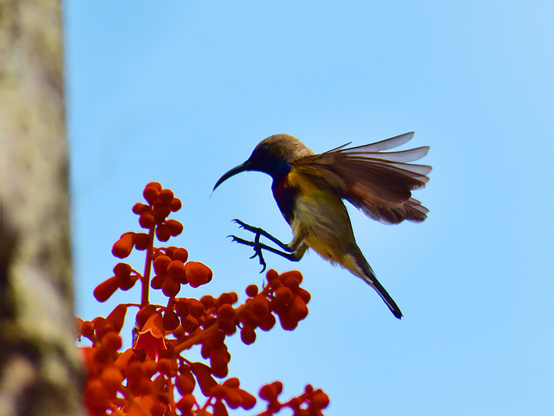 微信圖片_20210427112612 微信圖片_20210427112612