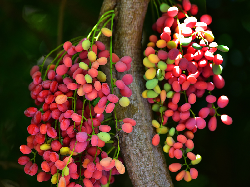 微信圖片_20210622164129 微信圖片_20210622164129