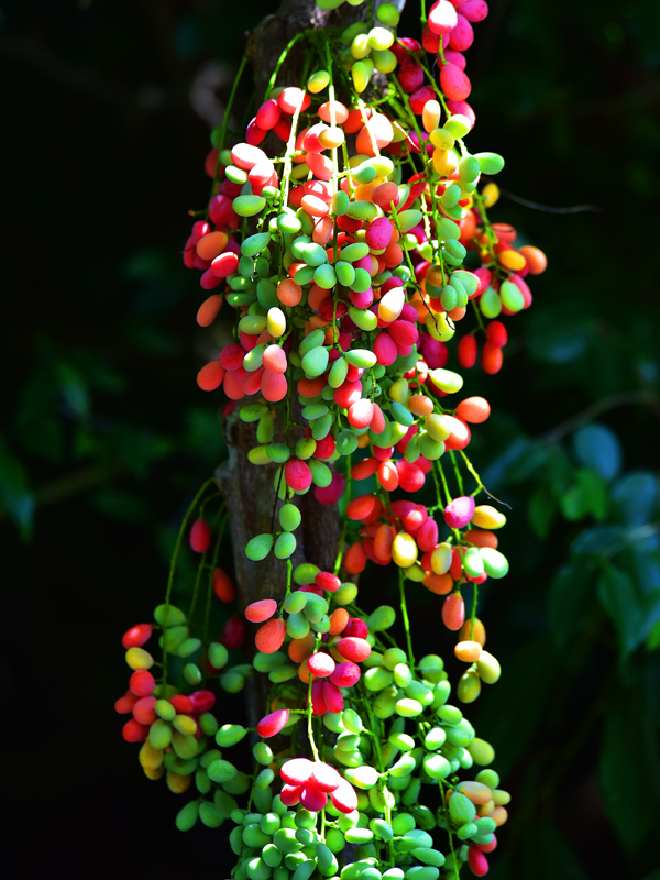 微信圖片_20210622164159 微信圖片_20210622164159