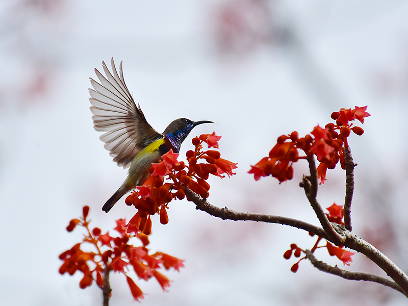 微信圖片_20220505172547 微信圖片_20220505172547