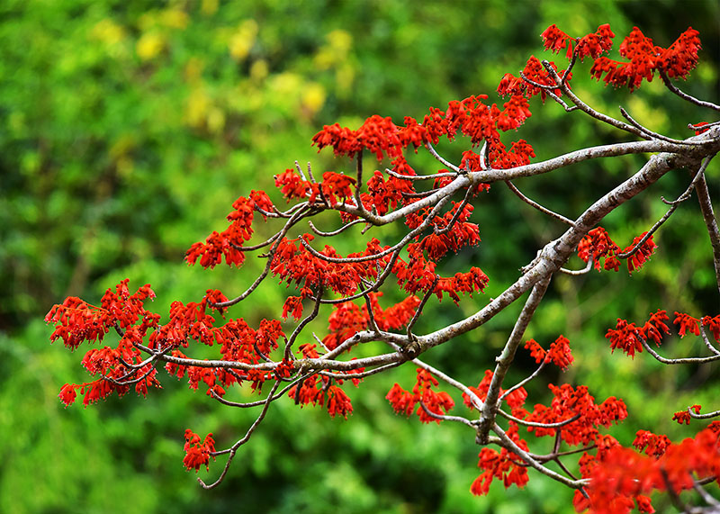 微信圖片_20220505172542 微信圖片_20220505172542