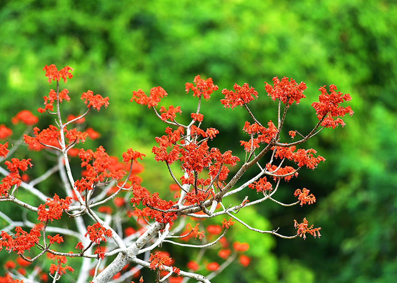 微信圖片_20220505172531 微信圖片_20220505172531