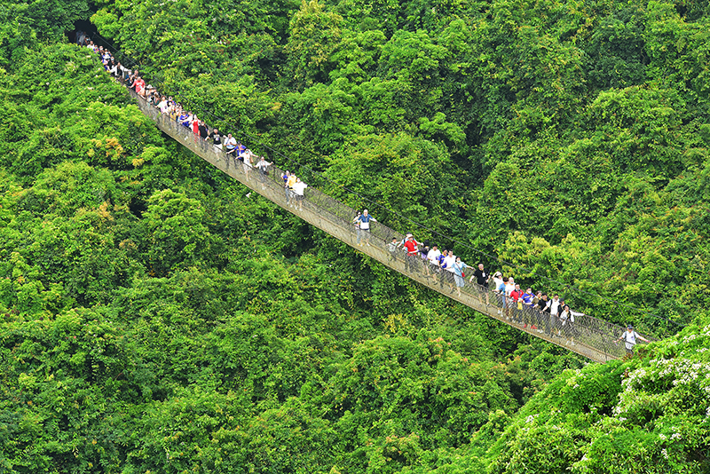 微信圖片_20220708212642