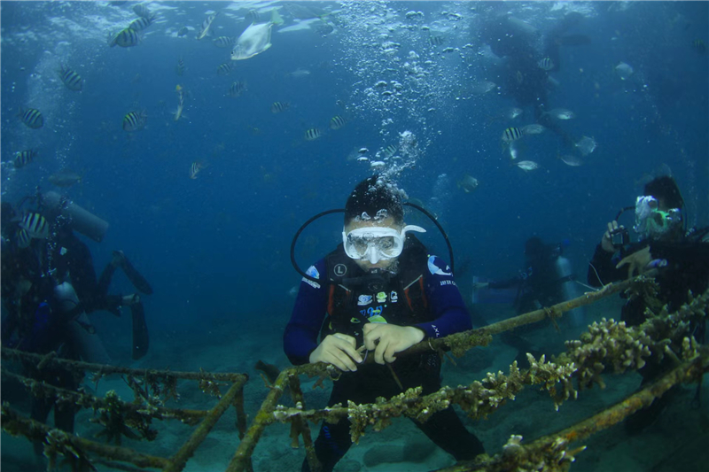 微信圖片_20230127170317 微信圖片_20230127170317