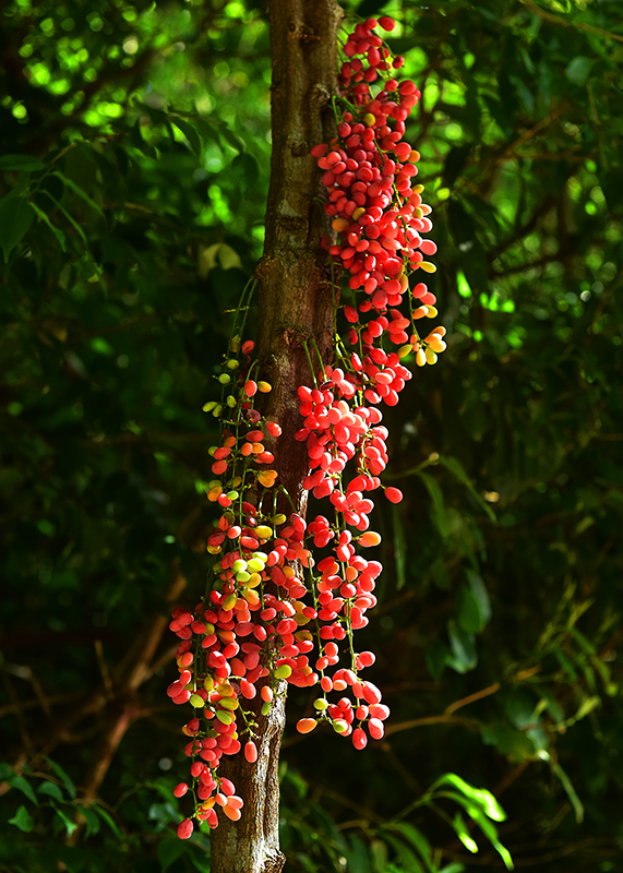 20230606154037_16281