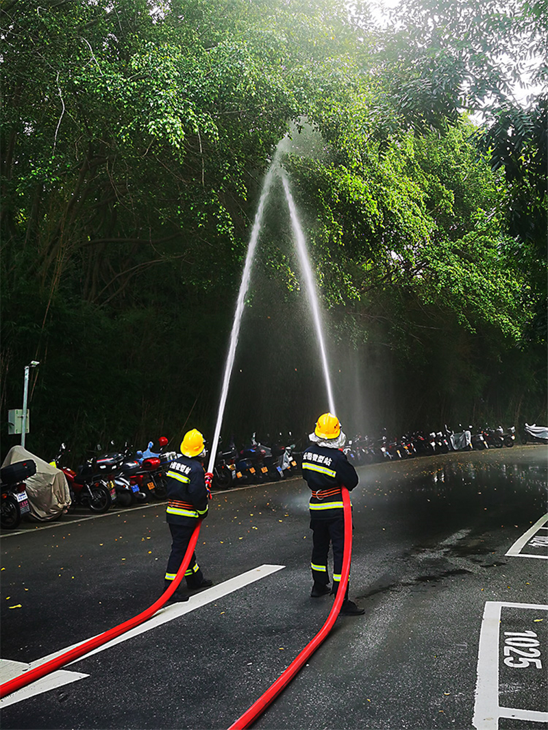 20231201174900_96117