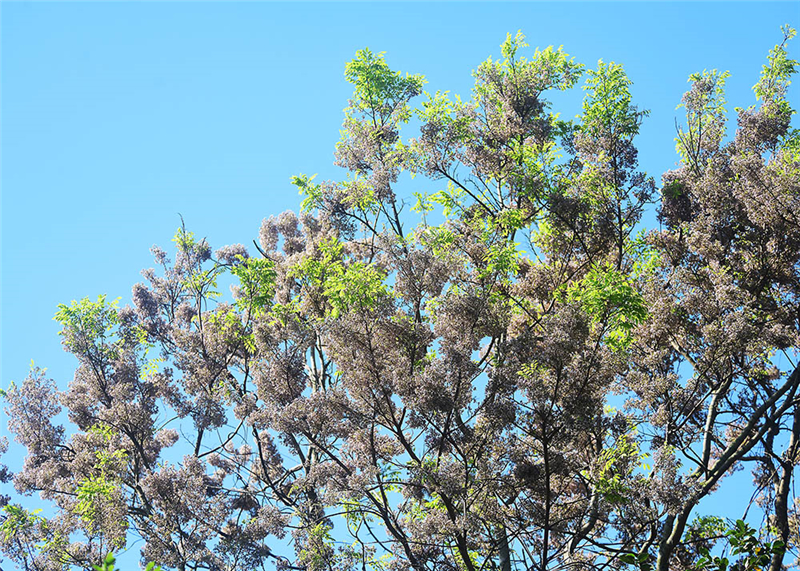 20240227171536_77432