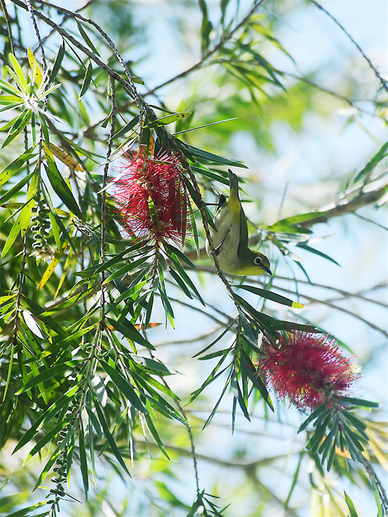 20240227171911_83905