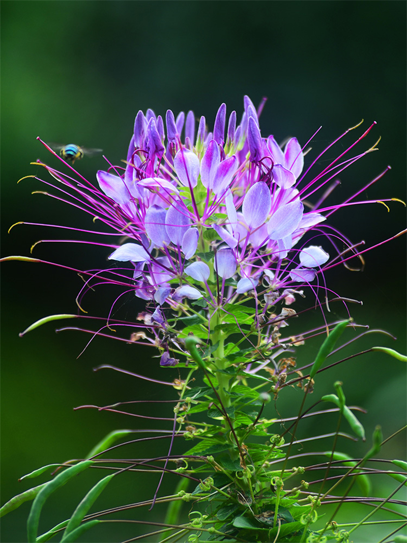 20240612232301_75370