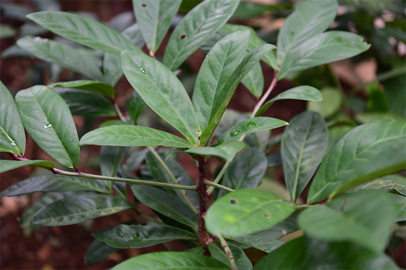 20241231165359_51229