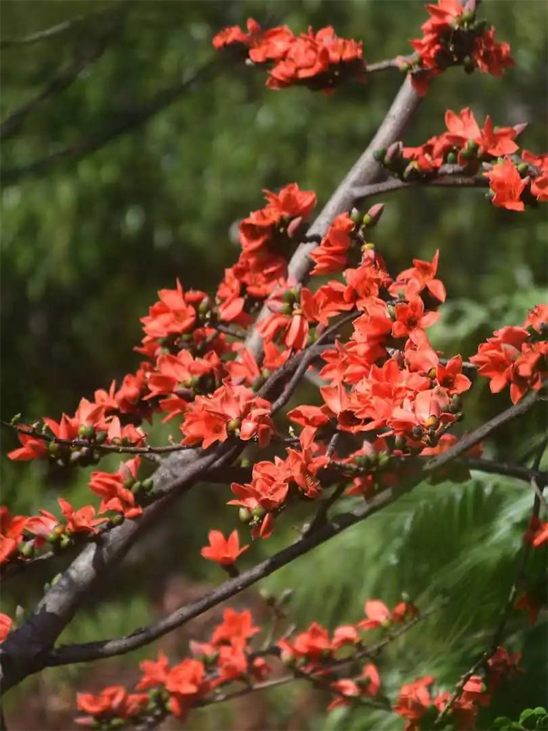 微信圖片_20250221204006 微信圖片_20250221204006